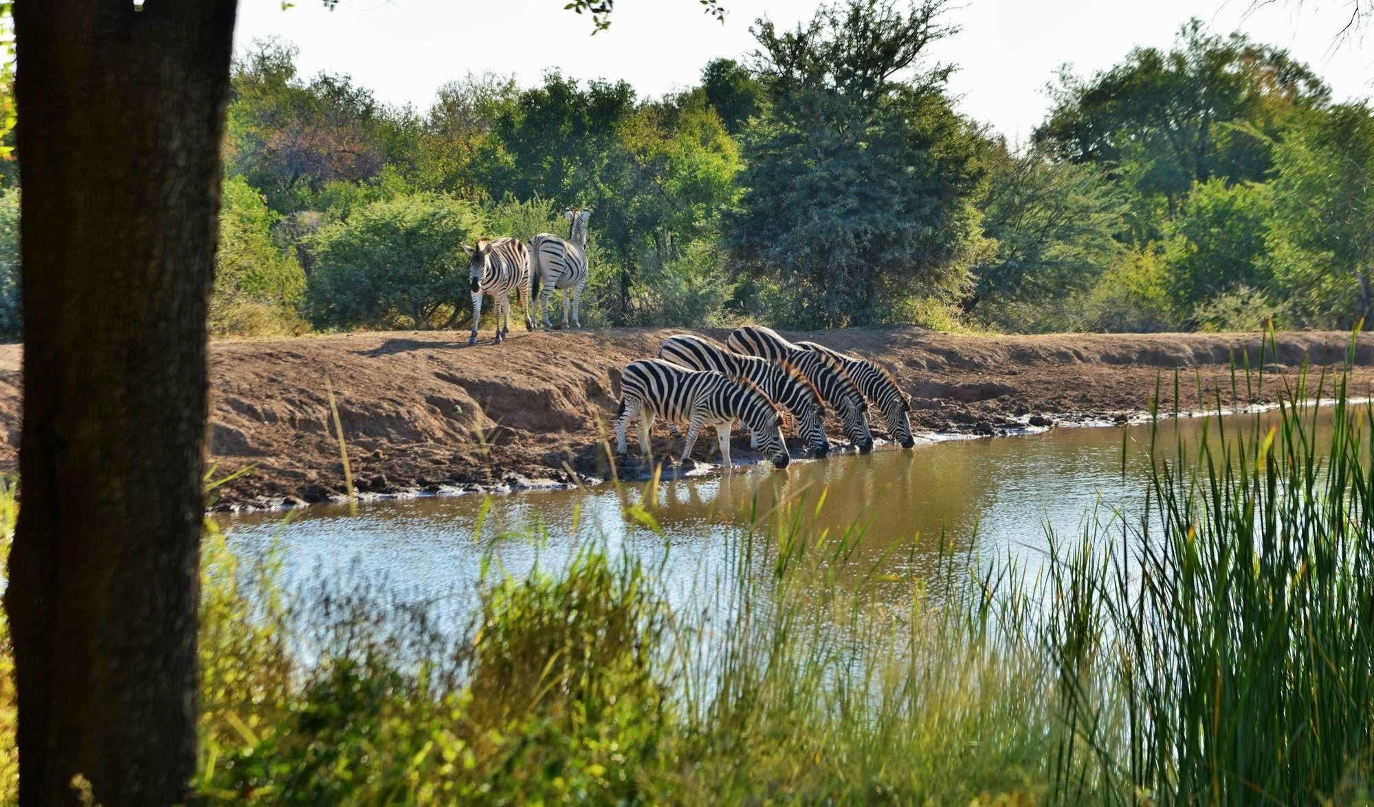 Black Rhino Game Lodge Ruighoek Mine Exteriör bild